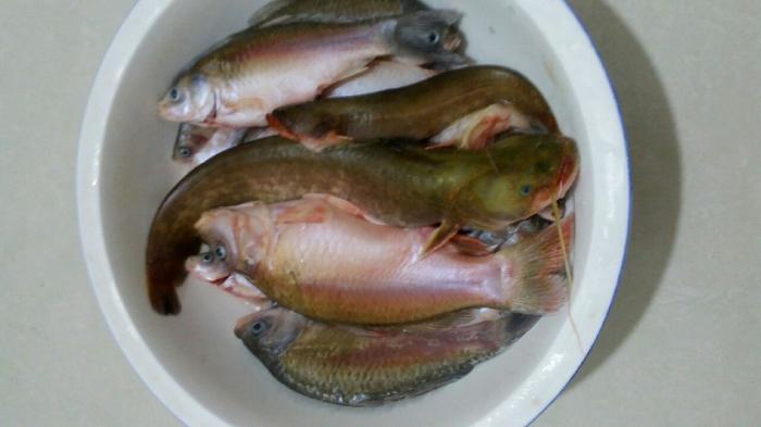 小李文具玩具鱼具店