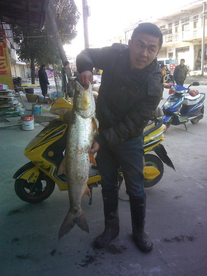 月山直钩渔具店