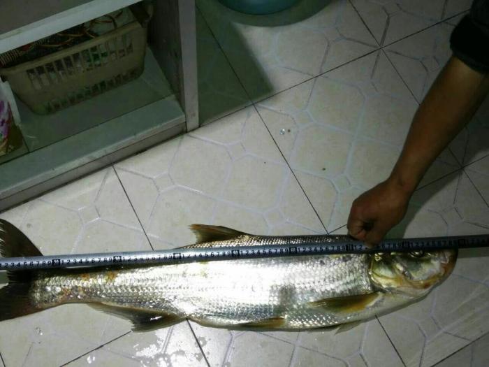 鱼猎人路亚俱乐部