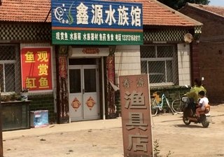 鑫源水族馆
