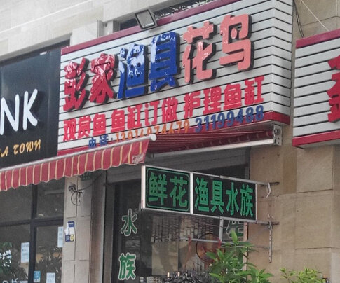 彭家渔具花鸟