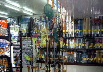 天津野生红虫批发