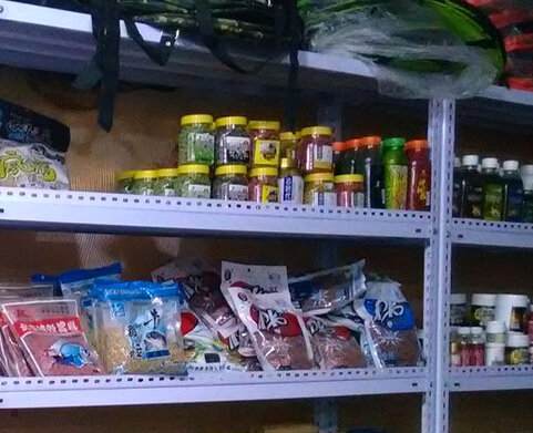 大自然渔具狼王专卖店