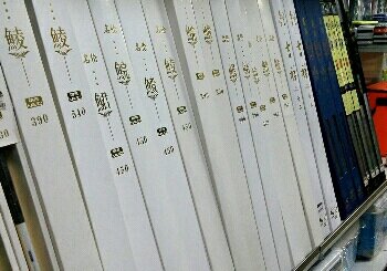 四海钓具肇庆总部