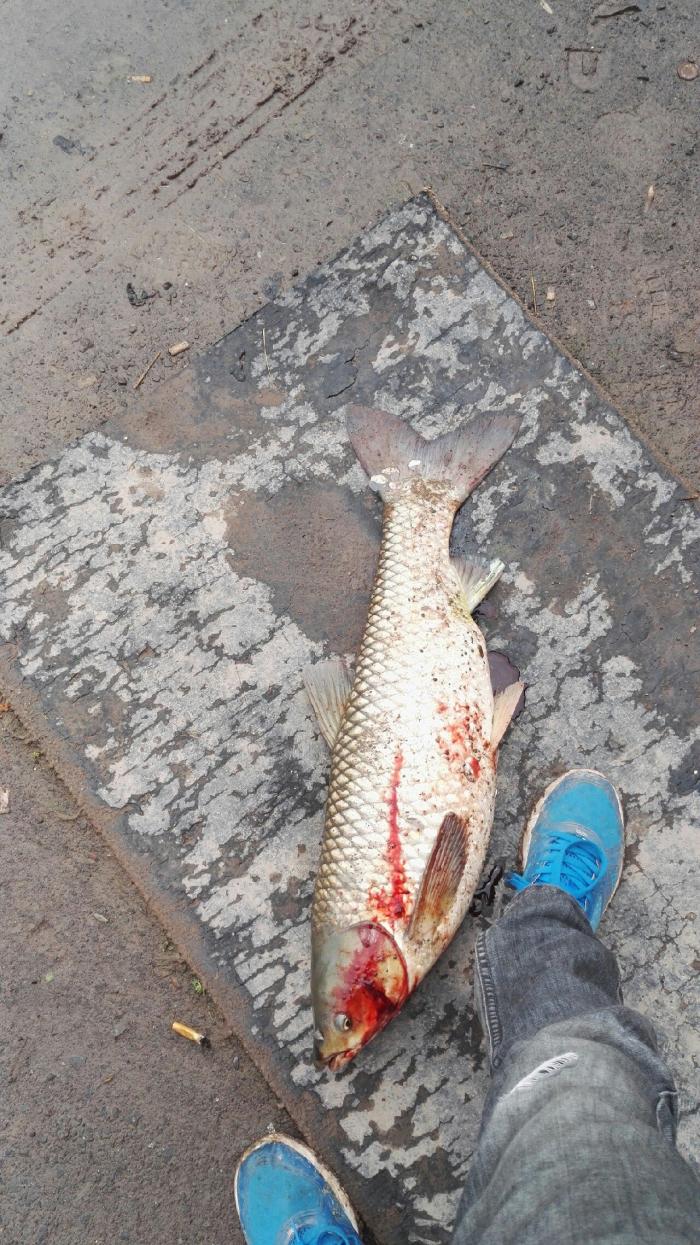 中逵国际钓具光山旗舰店