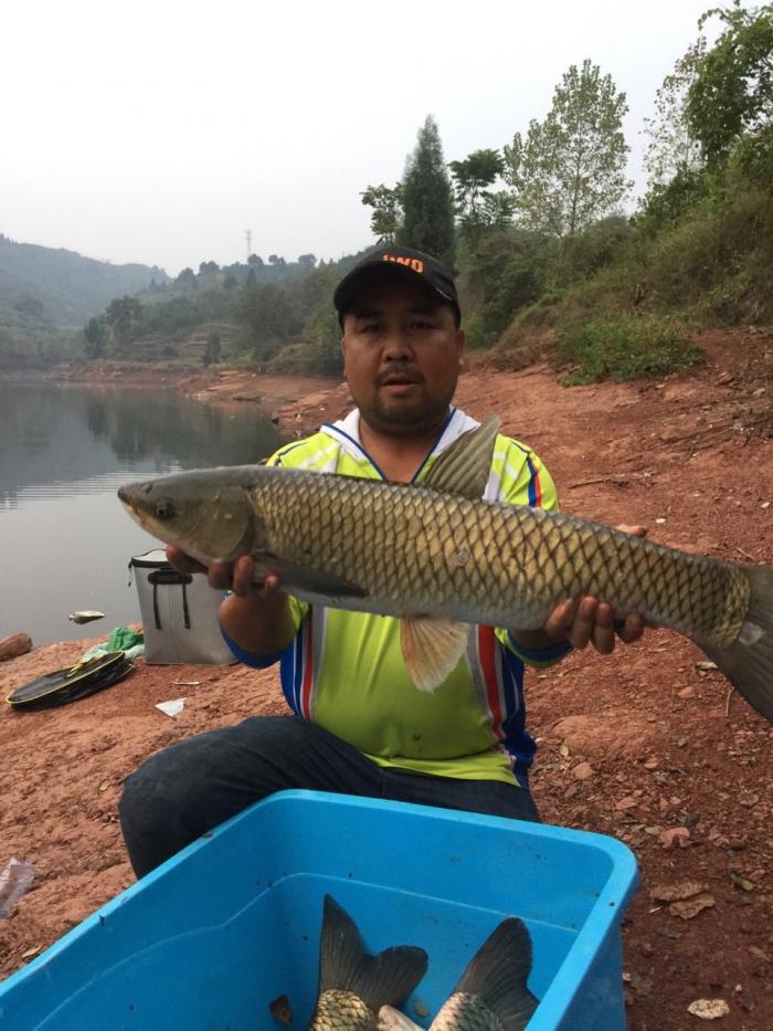 武汉天元友友渔具