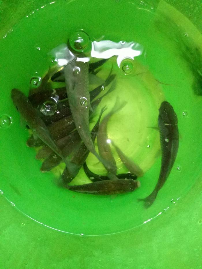 依肯国际户外钓具曲靖专营店