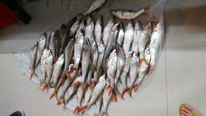 三星渔具狼王专卖店