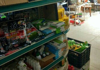 和顺渔具行总店