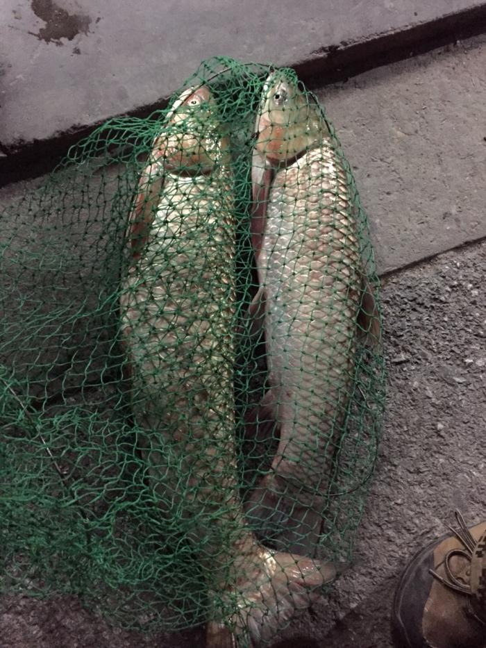 上海观苍台渔具