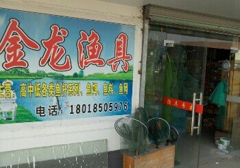 金龙鱼具店