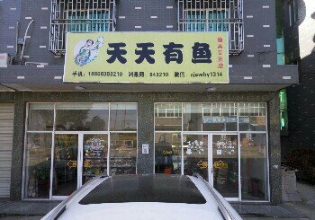 天天有鱼渔具店
