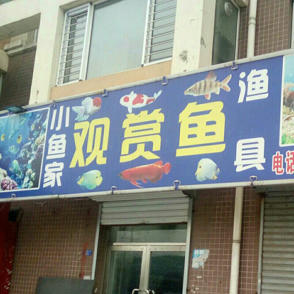 小鱼家渔具