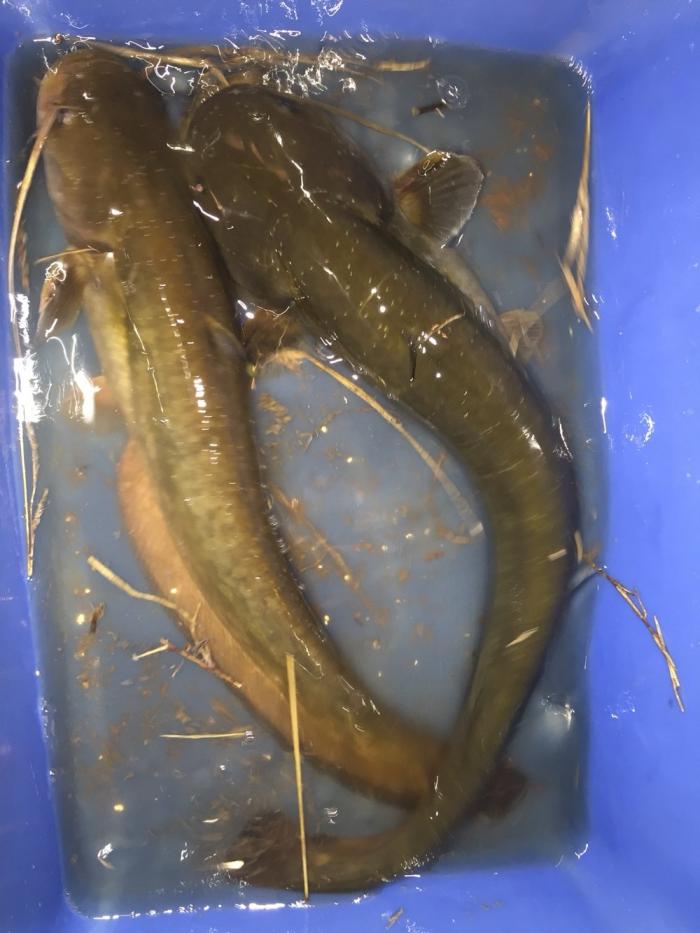 望江亭国际钓具