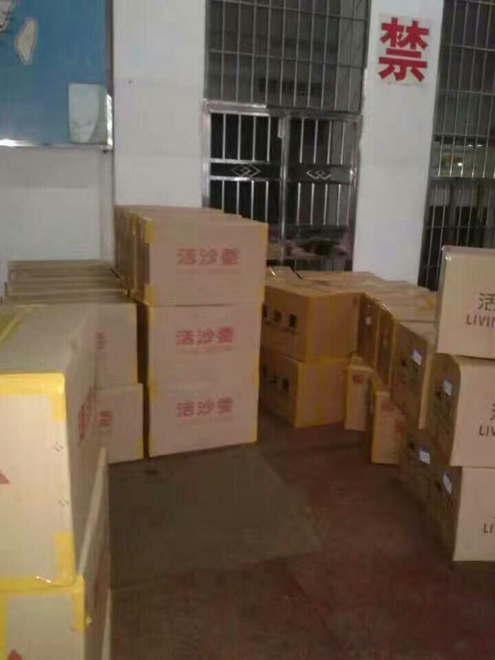 驰航钓鱼具渔具