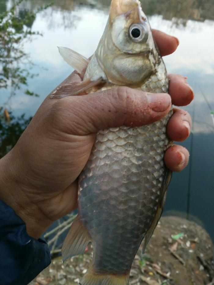 钓四海钓友之家