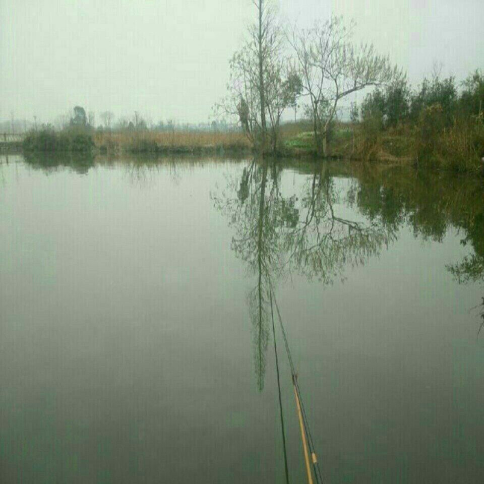 龙游横山村附近野塘