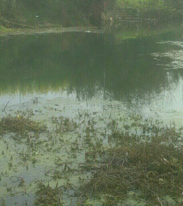 西坪镇桂山村平转