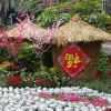 清晨_12cfc9