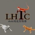LHTC小小繁殖者