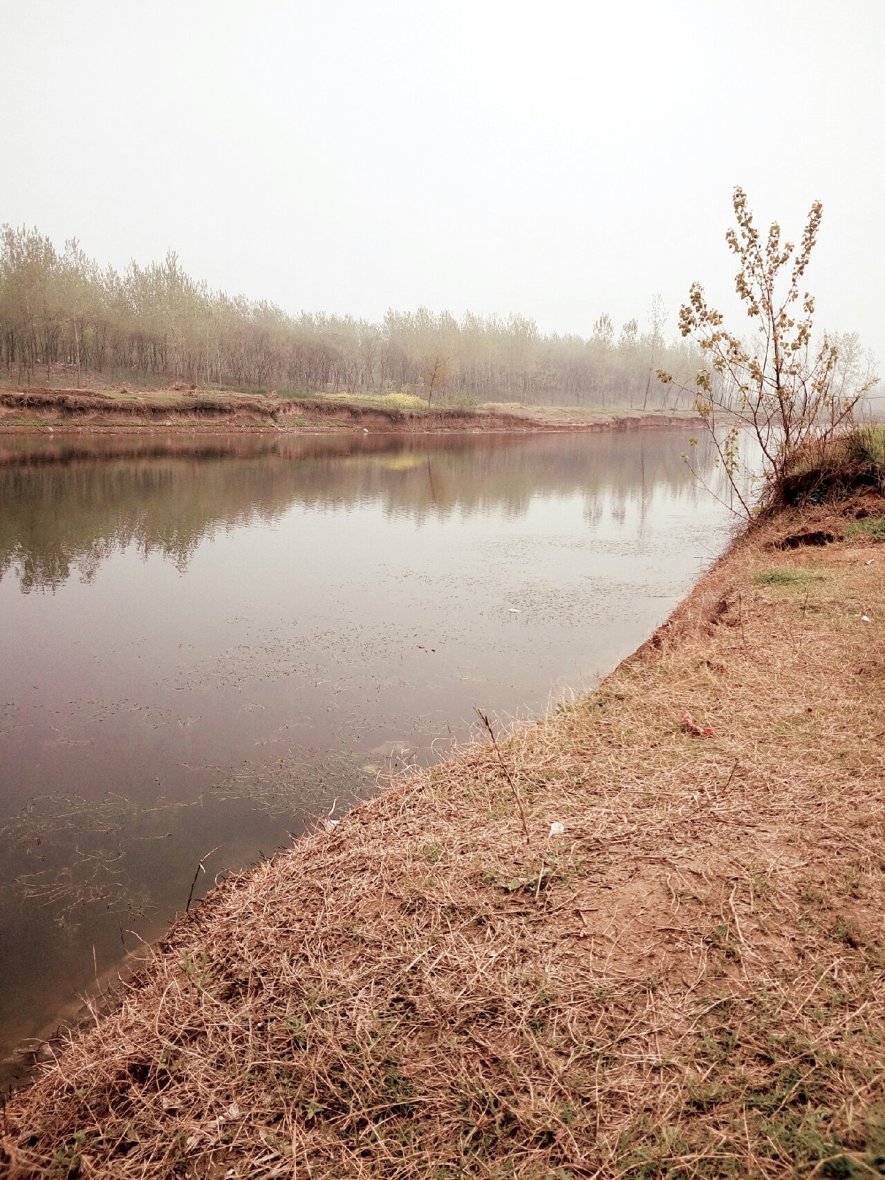 谷城茨河风景区图片